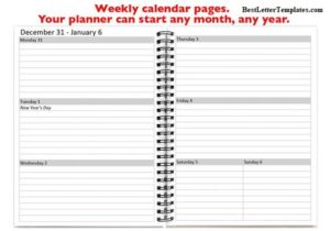 Punctuate Weekly Planner 2020